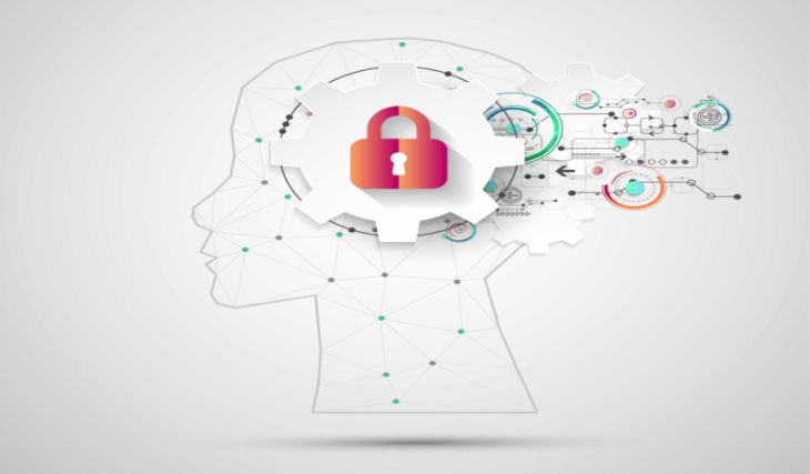 Información sobre la Propiedad Intelectual Información sobre la Propiedad Intelectual