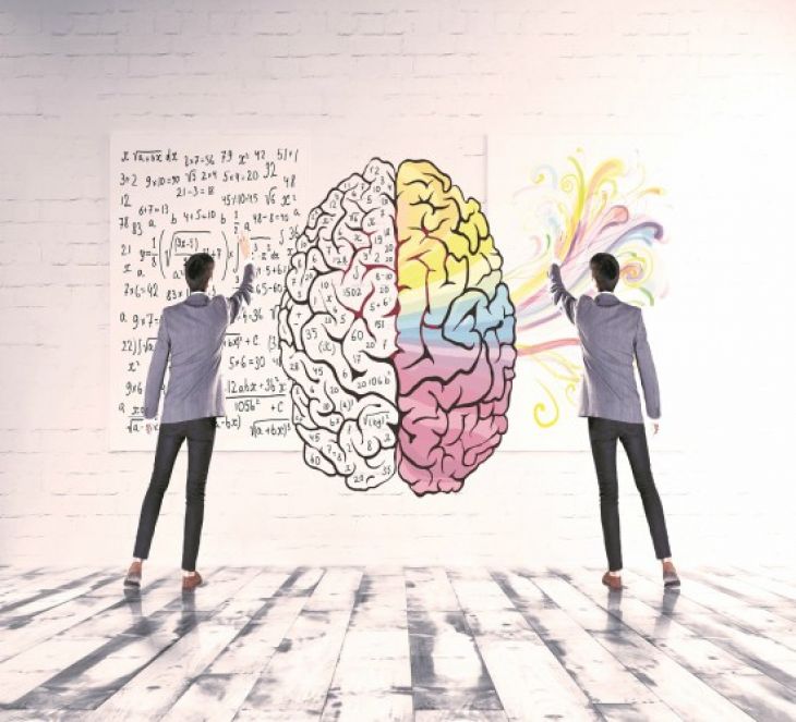 Curso Neurociencia y Comportamiento Humano