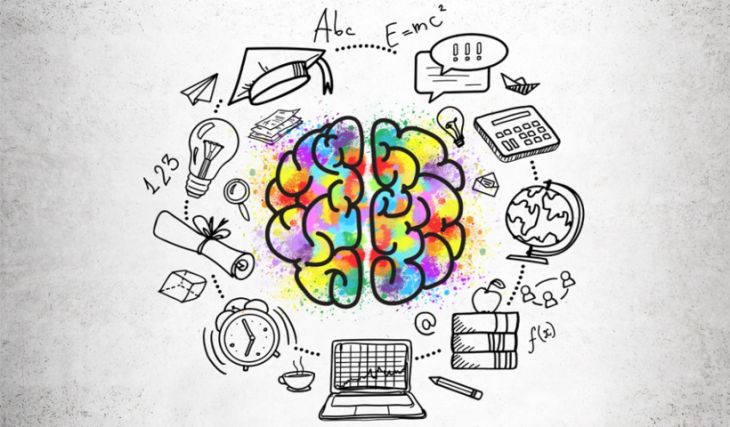 El Cerebro y la Neuroeducación El Cerebro y la Neuroeducación